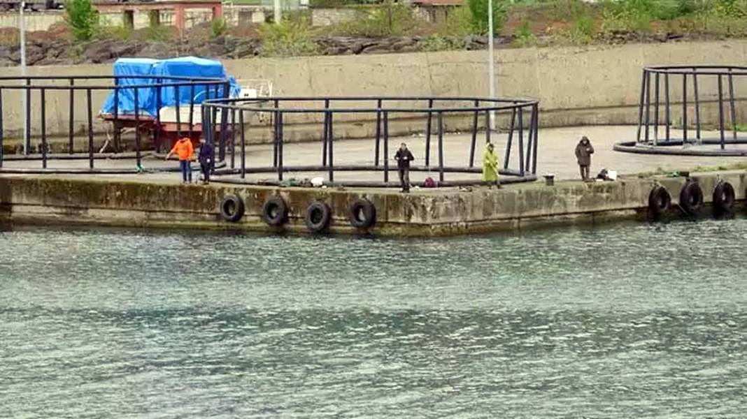 Denize iki ton levrek dağıldığını duyanlar oraya koştu! Üç saatlik yoldan gelip olta salladılar 5